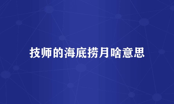 技师的海底捞月啥意思