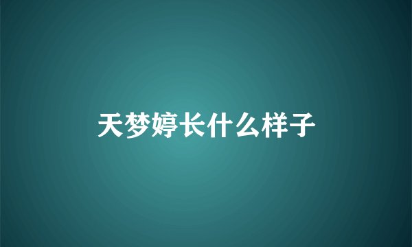 天梦婷长什么样子