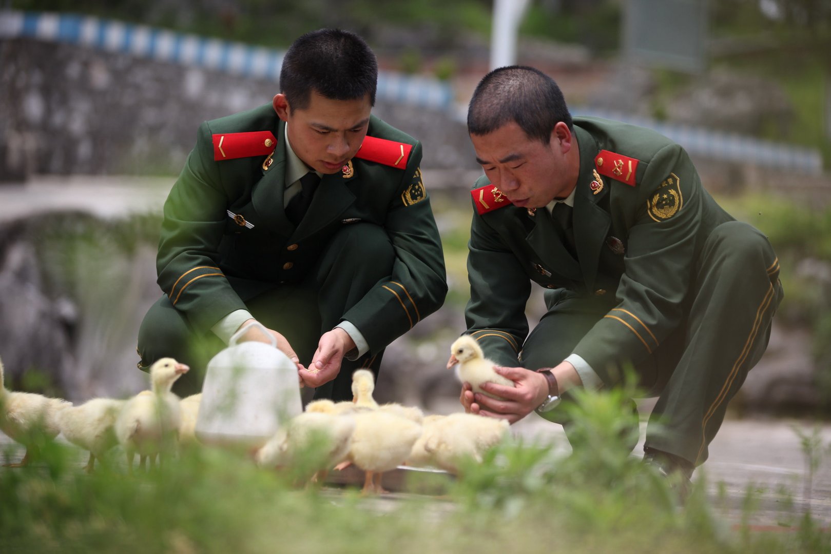 士兵之恋的介绍