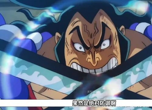 热血动漫《海贼王》里，有哪些二刀流剑士呢？