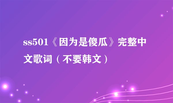 ss501《因为是傻瓜》完整中文歌词（不要韩文）
