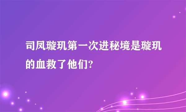 司凤璇玑第一次进秘境是璇玑的血救了他们?