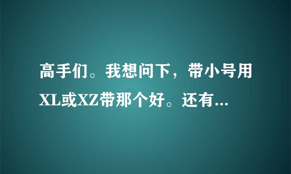 高手们。我想问下，带小号用XL或XZ带那个好。还有组对不。经验怎?