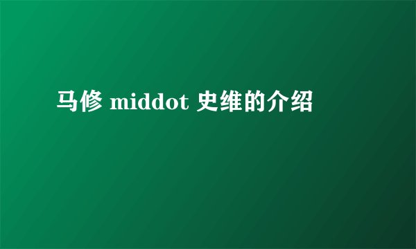 马修 middot 史维的介绍