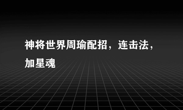 神将世界周瑜配招，连击法，加星魂