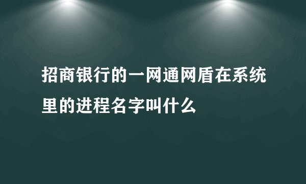 招商银行的一网通网盾在系统里的进程名字叫什么