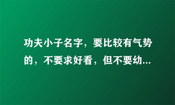 功夫小子名字，要比较有气势的，不要求好看，但不要幼稚的，比如魔王之类的