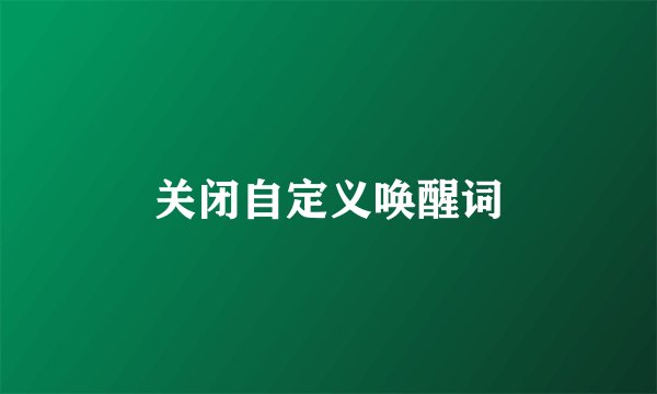 关闭自定义唤醒词