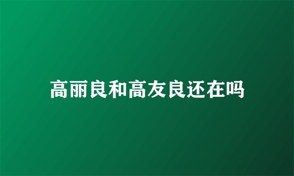高丽良和高友良还在吗