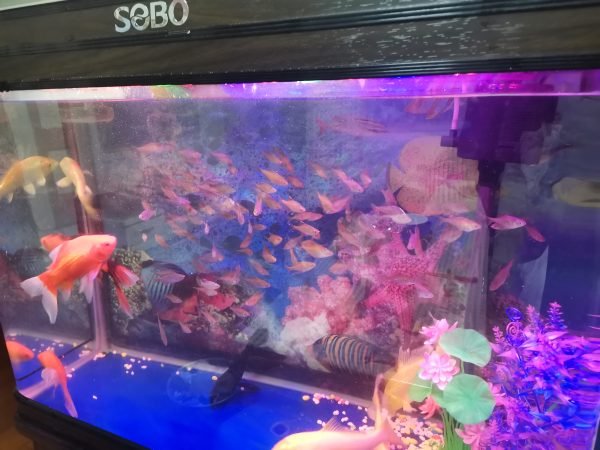 95780是哪个网贷