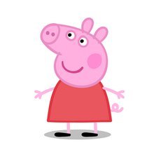 《粉色猪小妹的护理》主要成员有哪些？