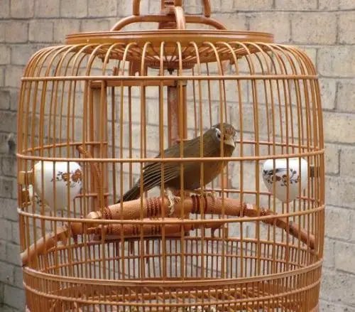 什么是腾笼换鸟？