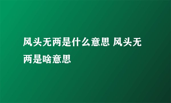 风头无两是什么意思 风头无两是啥意思