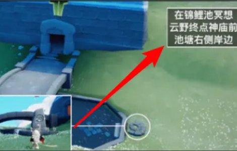 光遇锦鲤池在哪儿