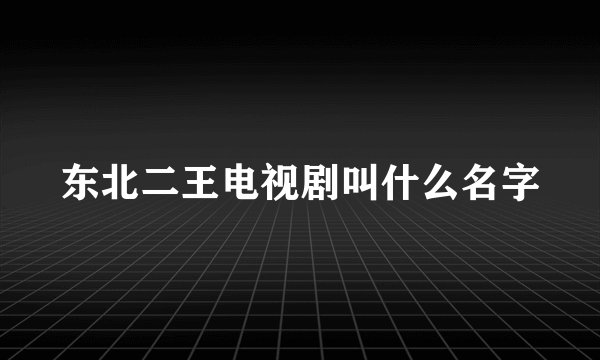 东北二王电视剧叫什么名字