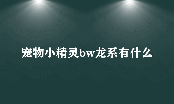 宠物小精灵bw龙系有什么