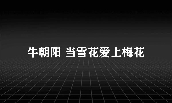 牛朝阳 当雪花爱上梅花