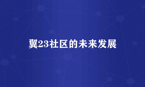 翼23社区的未来发展
