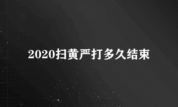 2020扫黄严打多久结束