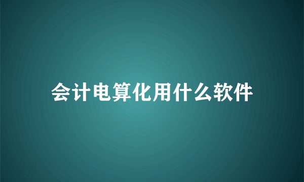 会计电算化用什么软件