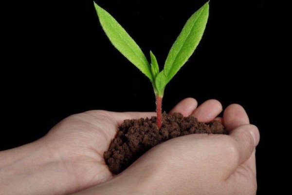 现代诗10首冰心最短