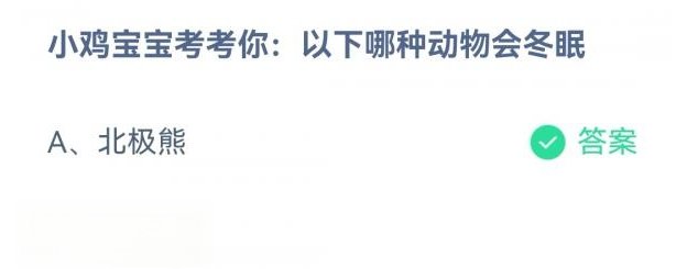 北极熊和熊猫哪种动物会冬眠？蚂蚁庄园11月13日答案
