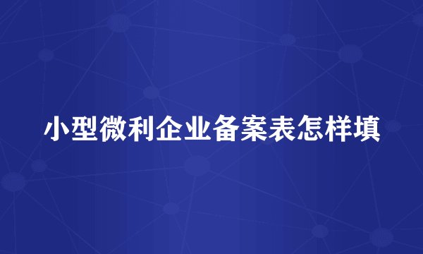 小型微利企业备案表怎样填