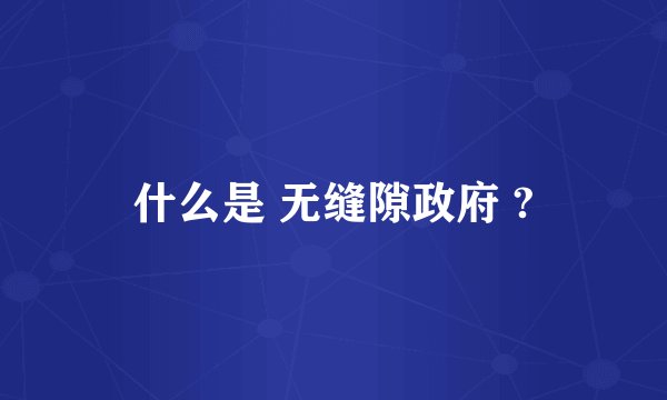 什么是 无缝隙政府 ?