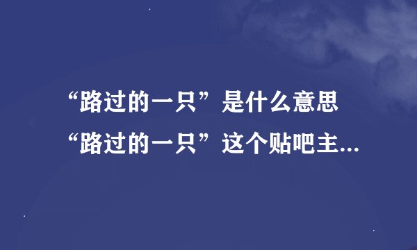 “路过的一只”是什么意思 “路过的一只”这个贴吧主要是做什么的 韩粉的贴吧？