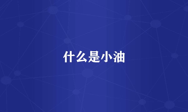 什么是小油