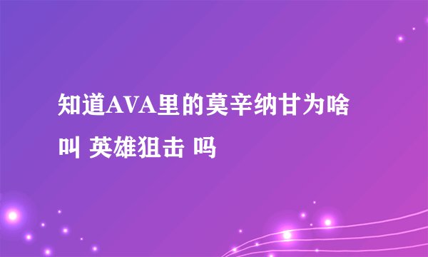 知道AVA里的莫辛纳甘为啥叫 英雄狙击 吗