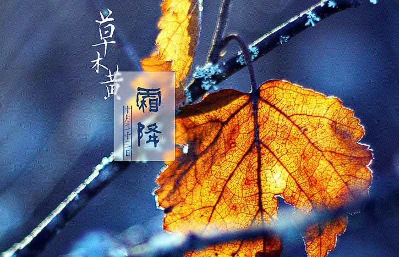 霜降祝福语大全