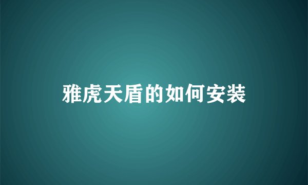 雅虎天盾的如何安装