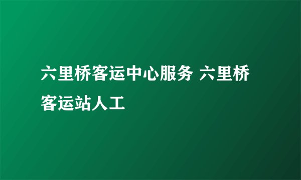 六里桥客运中心服务 六里桥客运站人工