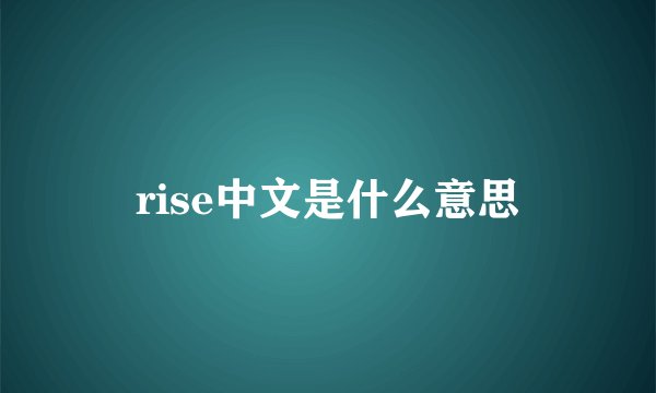 rise中文是什么意思