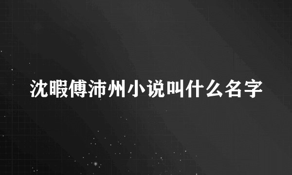 沈暇傅沛州小说叫什么名字