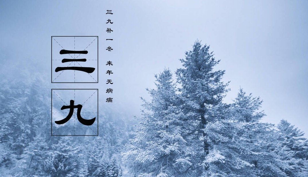 三九天是几月几号2023-2024