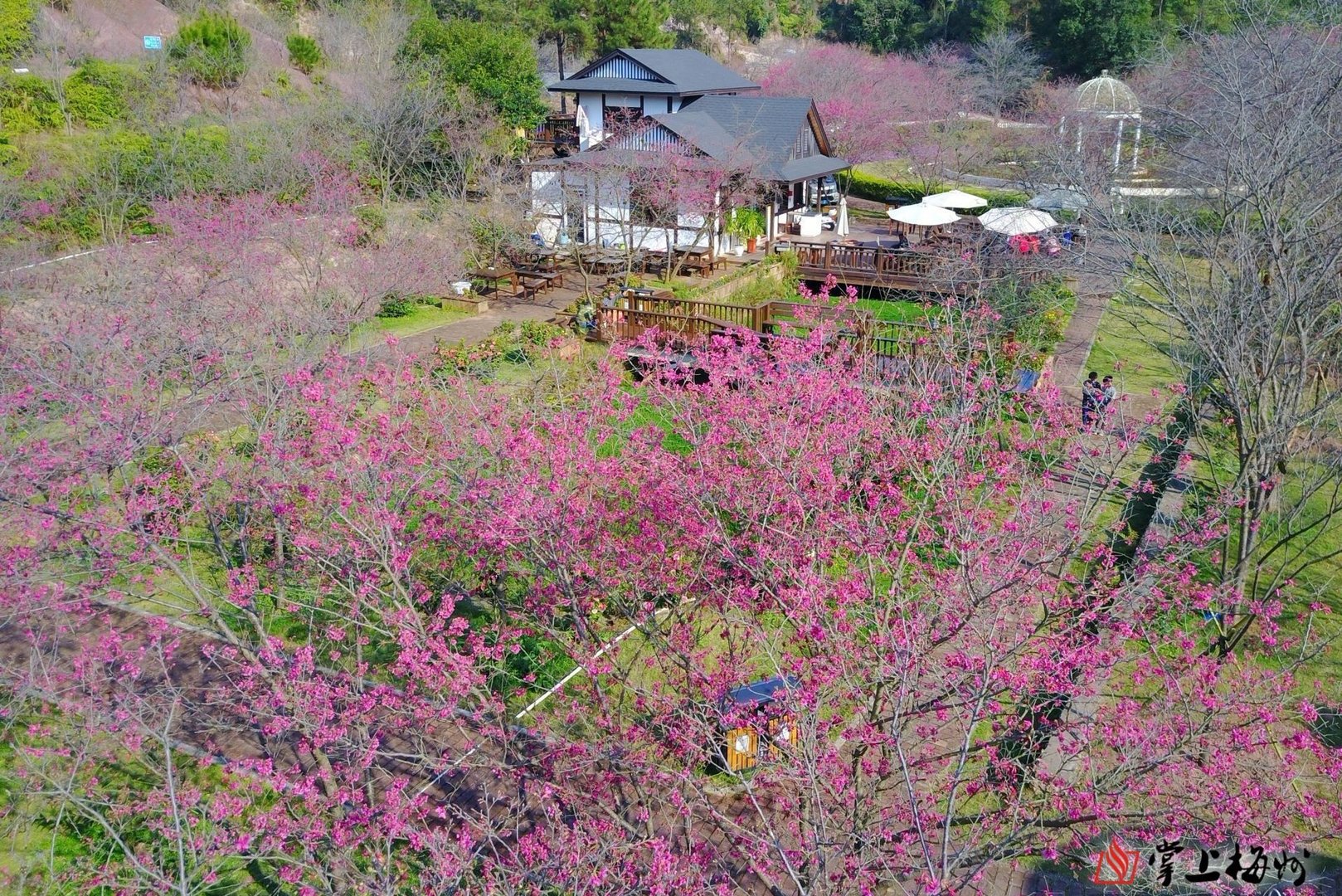 梅州有什么好玩的地方旅游景点?