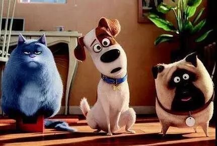 关于狗狗的动画片有哪些