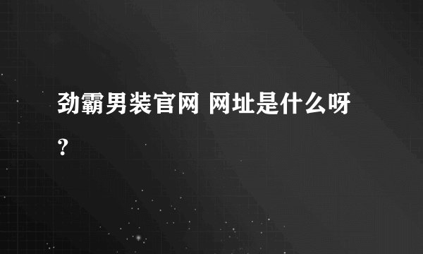 劲霸男装官网 网址是什么呀？
