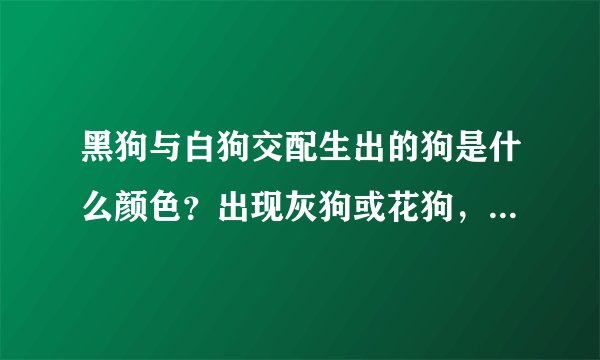 黑狗与白狗交配生出的狗是什么颜色？出现灰狗或花狗，哪种是由于共显性遗传，哪种是由于基因突变？