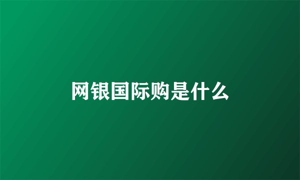 网银国际购是什么