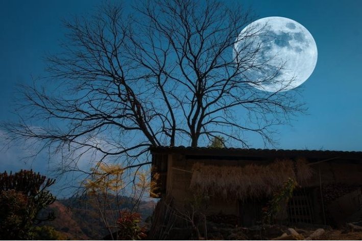 描写乡村月夜的情景