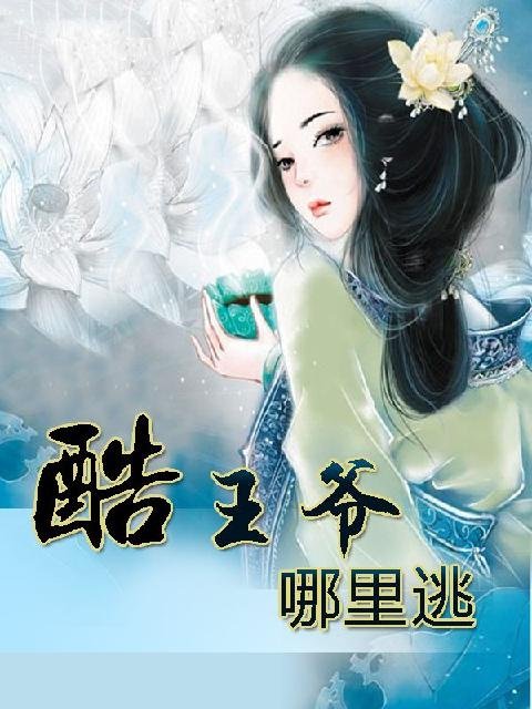 酷王爷遇上穿越妃的章节目录