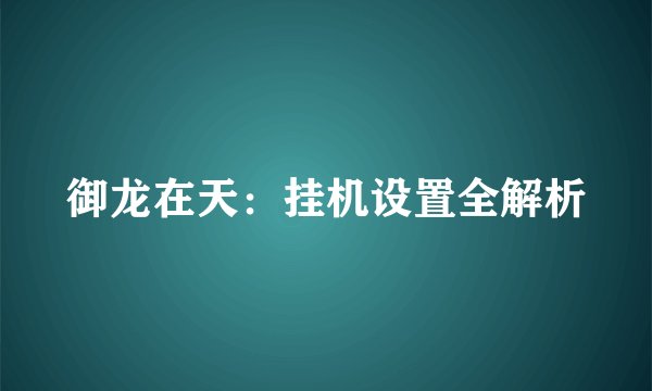 御龙在天：挂机设置全解析