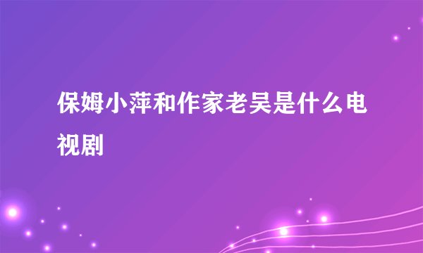 保姆小萍和作家老吴是什么电视剧