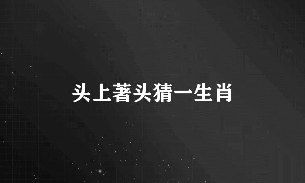 头上著头猜一生肖