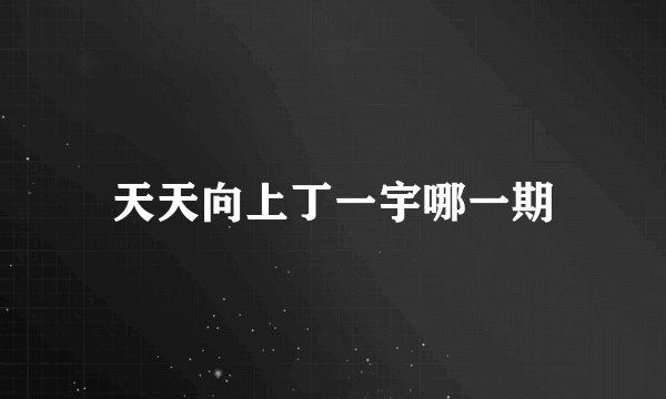 天天向上丁一宇哪一期