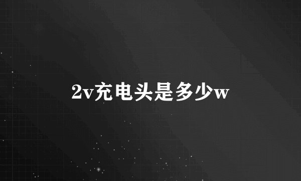 2v充电头是多少w