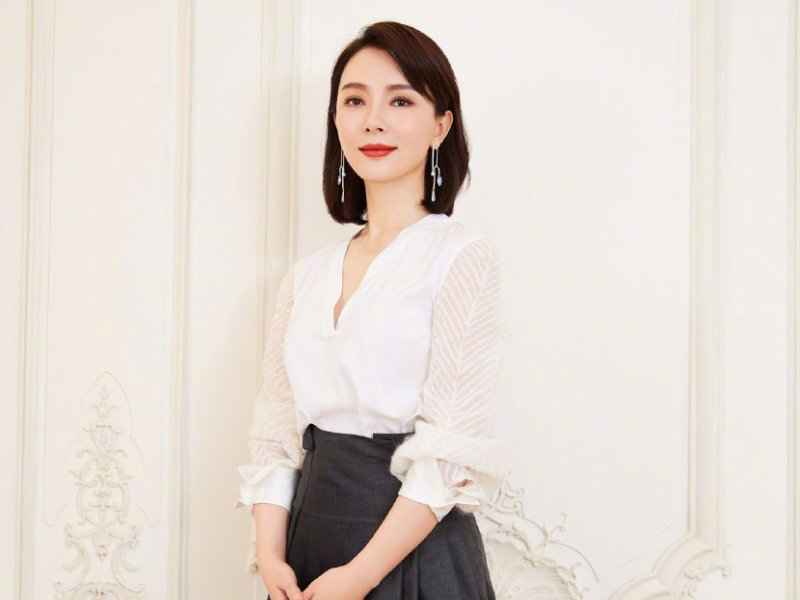 陈数主演的电视剧全部